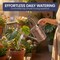 Gardenised 1 Gallon Galvanized Metal Watering Can with Removable Long Spout & Sprinkler Head for Indoor & Outdoor Use Ideal for Garden Flowers Potted Plants Houseplants Modern Home Accessories